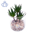 Mini Desktop Artificial Succulent Plants in Glass pot